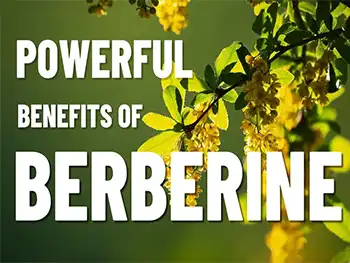 What are the health benefits of berberine?